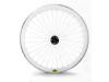 Espresso White Wheels with White Spokes
