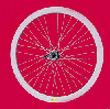 Espresso White Wheelset with coaster brake
