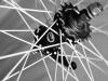 Espresso White Wheelset with coaster brake