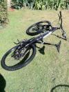 2011 intense tracer 29 large