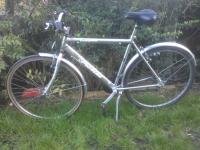 Probike Enterprise