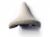 Espresso White Saddle