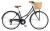 Claud Butler Windsor Women's Bicycle (2011) 17"