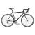 Viking San Marino Lightweight Road Bike (2011)