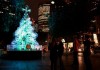 TreeCycle