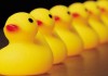 Water off a Duck's Back