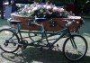Tandem Hearse