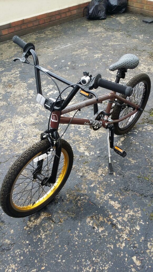 Mongoose Culture