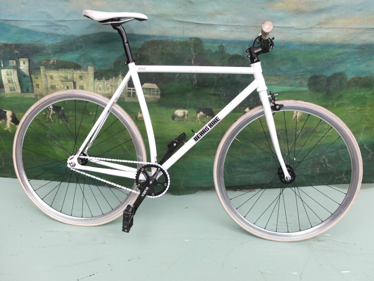 BEAR's Polo Bike