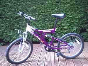 Challengextreme thunder girls purple mountain bike